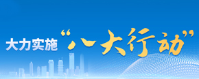 八大行动