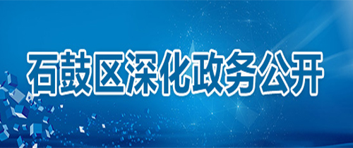 星空全站精简版APP深化政务公开